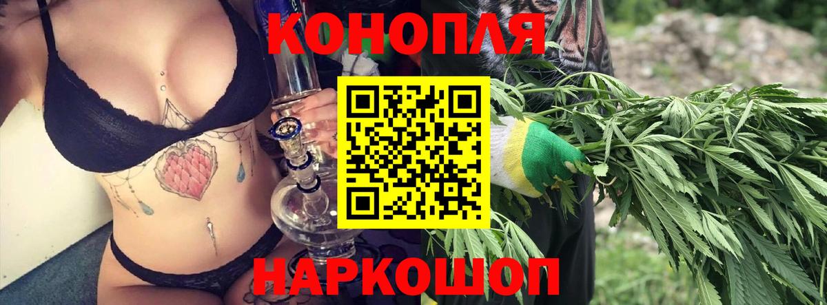 Бошки марихуана план Киселёвск